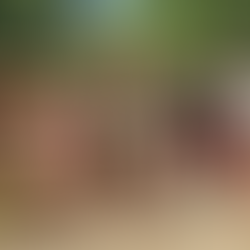 Passeio de caiaque em Paraty 2×1 - um roteiro completo para conhecer Ilhas e Manguezais