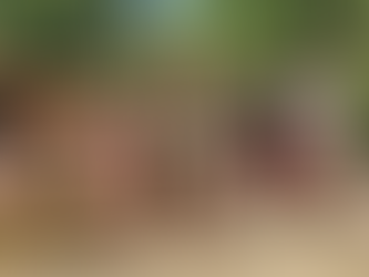 Passeio de caiaque em Paraty 2×1 - um roteiro completo para conhecer Ilhas e Manguezais