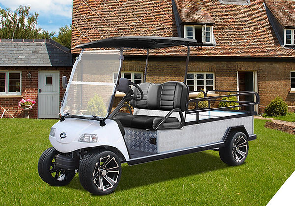 SCV Carts - Turfman 10003.jpeg