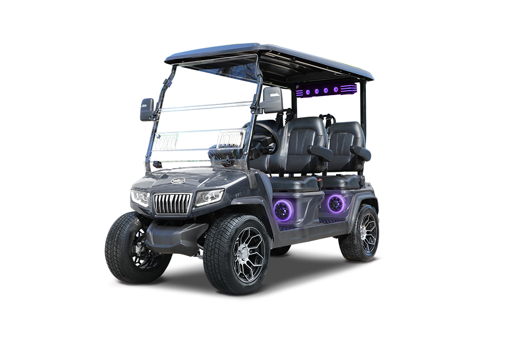 2026 Evolution D5 Ranger 4 Plus, Arctic Gray