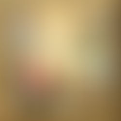 Análisis Curricular del Diploma Superior en Genealogía, Heráldica, Vexilología, Diplomacia y Derecho Premial (DSGHDDP)