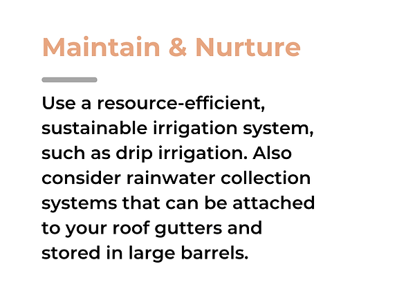 5 Maintain and Nurture.png
