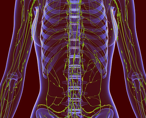 body-effect-neon-waves-showing-effect_ed