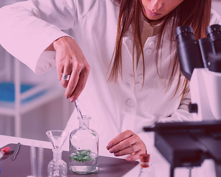 11062b_d9b51f7cfdf84c2f886cd478e7bef383~