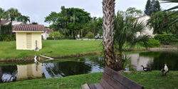 20200905_175152_HDR.jpg