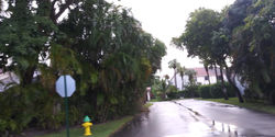 20200905_180640_HDR.jpg