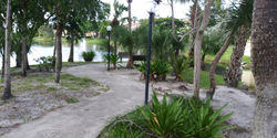 20200905_175126.jpg