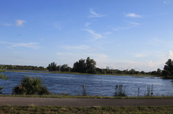 IMG_8995.JPG