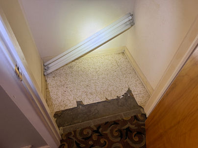 Mold moisture damage flooring Georgetown TX