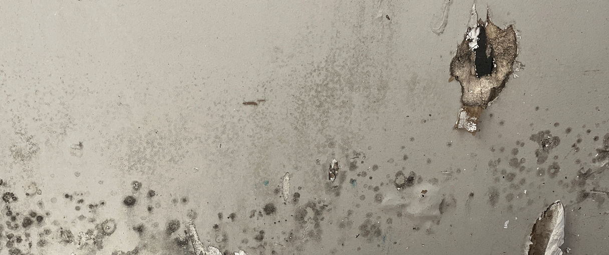 Microbial growth concrete masonry wall mold assessment Westlake Hills Austin TX