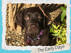 Cream Minimal Scrapbook Travel Memories Seamless Photo Collage Carousel Instagram Post (1)