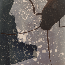 Metamorphosis by Franz Kafka - Q&A with the illustrator