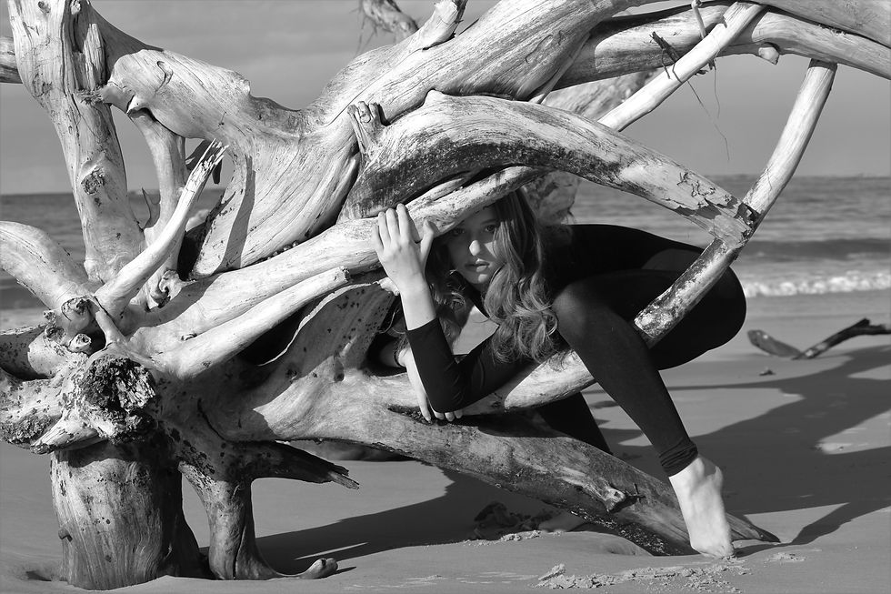 Eco Dance 1