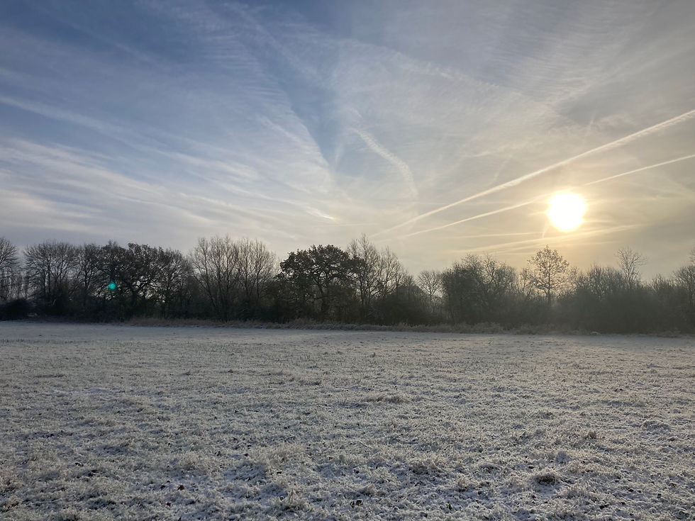 Winter Stillness: Seasonal Yoga, Nidra & Soundbath