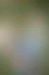 Mother and Son Sarasota Beach Photo