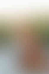 Sarasota Beach Family Photo