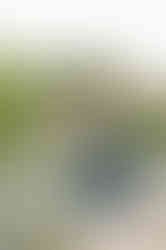 Mother and Son Sarasota Beach Photo