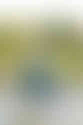 Mother and Son Sarasota Beach Photo