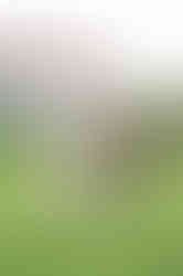 Sarasota Family Photo