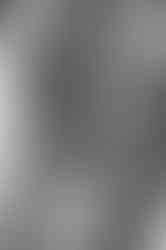 Sarasota Family Photo