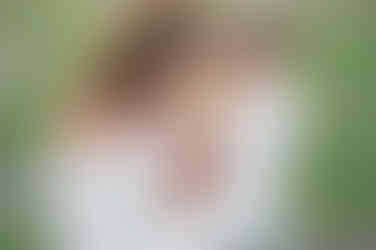 Sarasota Family Photo