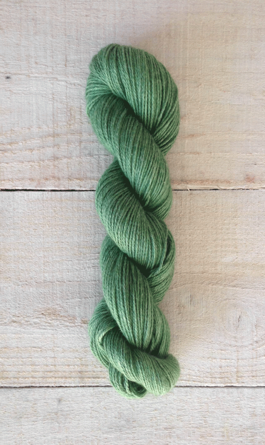 S2368 Ivy