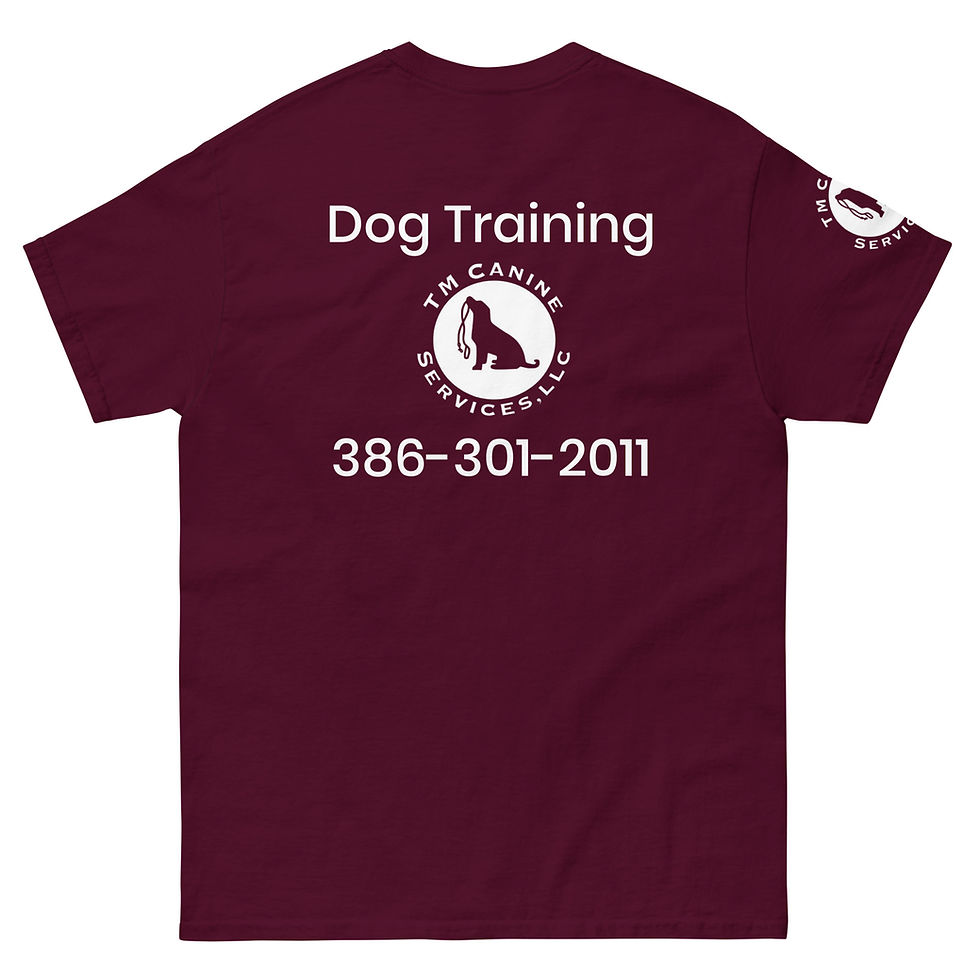 Thumbnail: Treat Dealer - Unisex classic tee