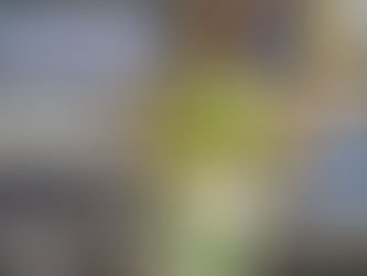 Investing in People = The Key to Success - by Sam Nadel former DI Athlete/BAA Pro, Current UNC Coach