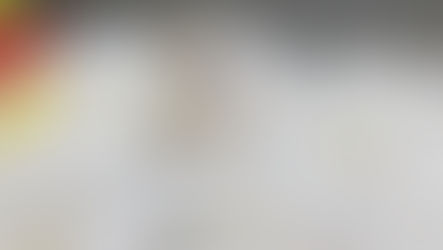 9 Barang untuk Menyambut Peliharaan Hamster