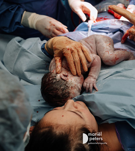 Mariel Peters Geboortefotografie
Geboortefotograaf Friesland