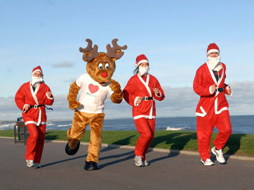 Boas festas e Feliz Natal