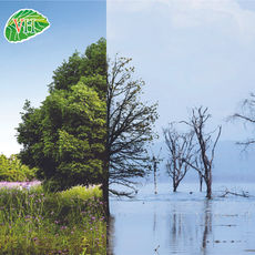 Transición de temporada:          Cómo evitar bajones de energía y resfriados