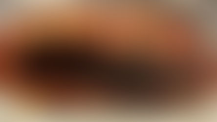 Polpettone - Italian meat loaf