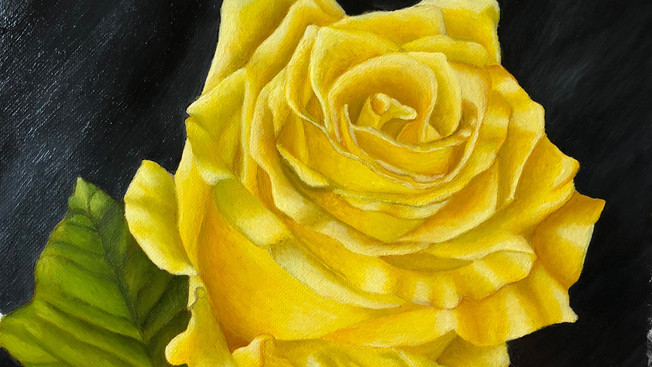 Yellow Rose