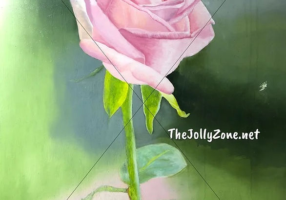 Pink Rose