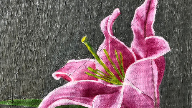 Postcard Lily