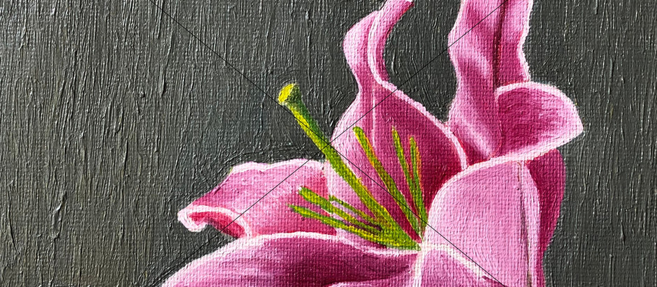 Postcard Lily