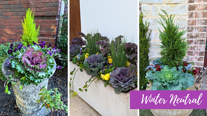 MailChimp Banners.png