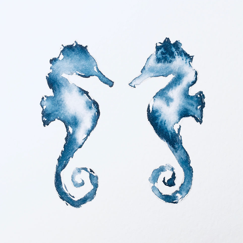 Seahorse Kisses