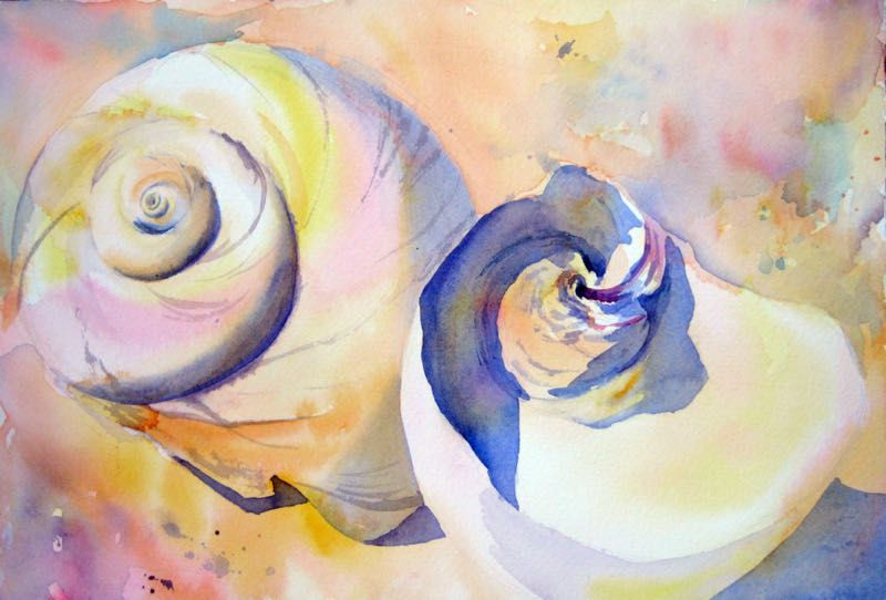 Shell