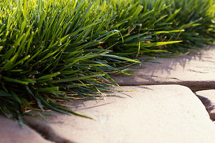natural-grass-close-up.jpg