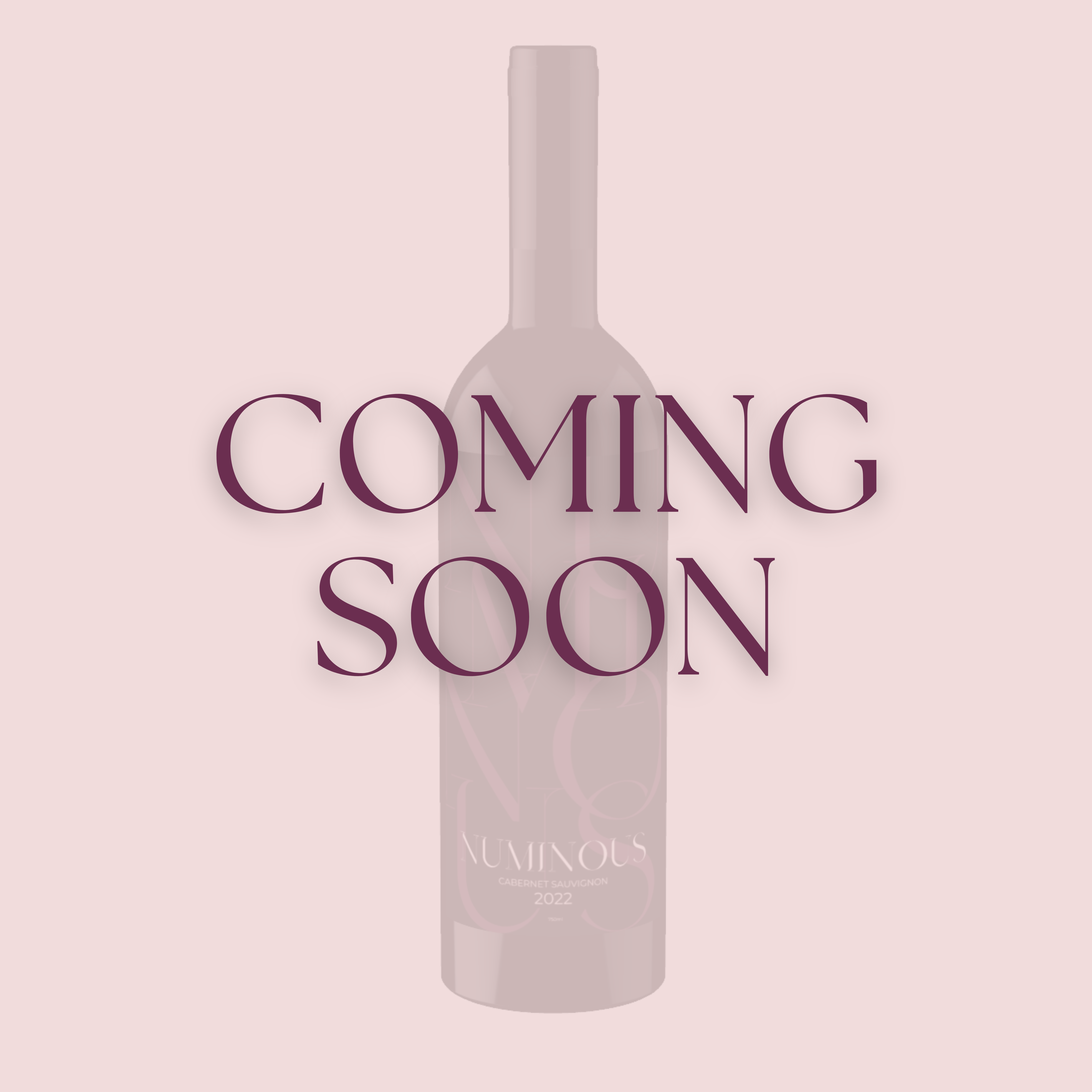 Numinous 2022 Cabernet Sauvignon