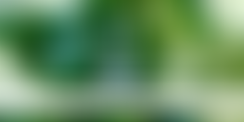 Green Chemistry and Its 12 Principles