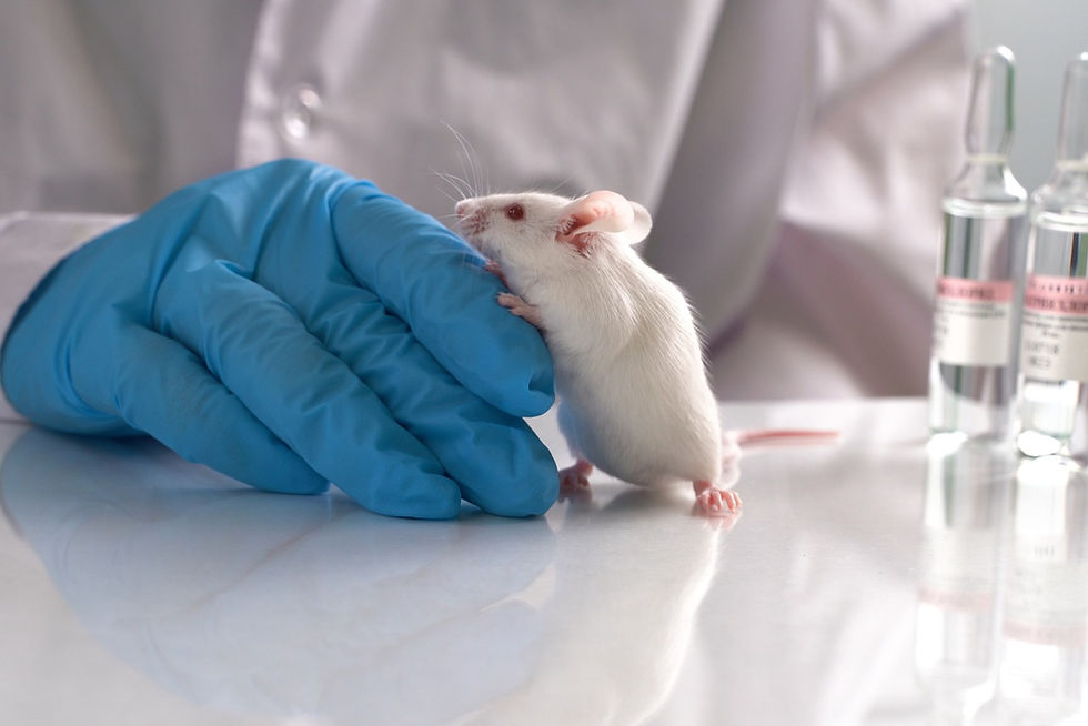 Experimental Research| What is it, Types and Examples 