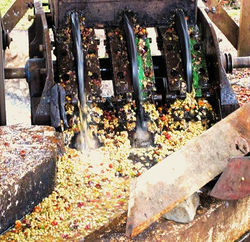 Pulping before fermenting