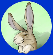 LAPIN 2.jpg