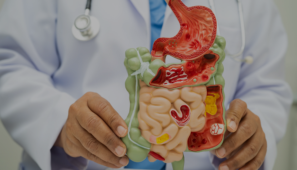 GUT HEALTH E ALLENAMENTO