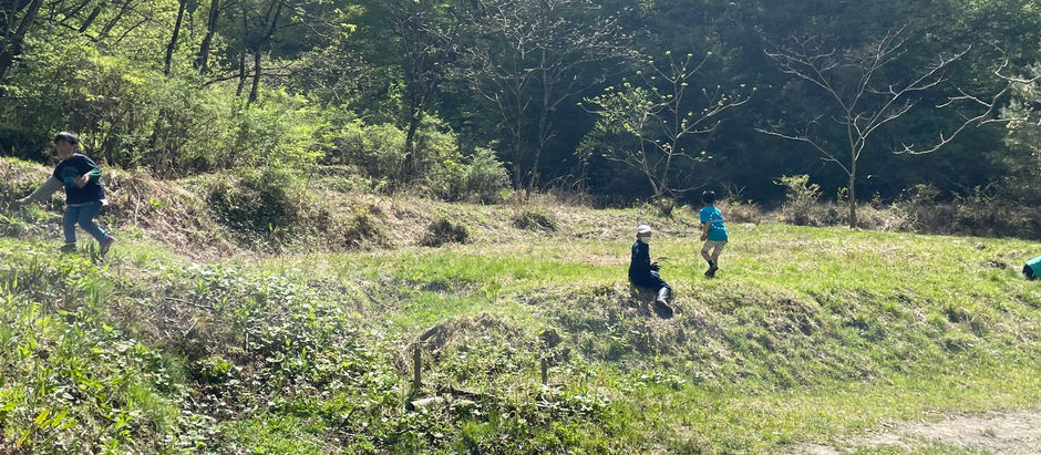 春とあそぶ🌱