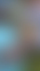 畑仕事。でっかいきゅうり?!が実ってたよ