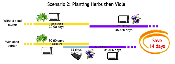 seed starter example timeline_viola_eng.